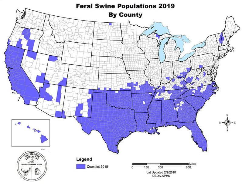 2019 feral swine distribution map