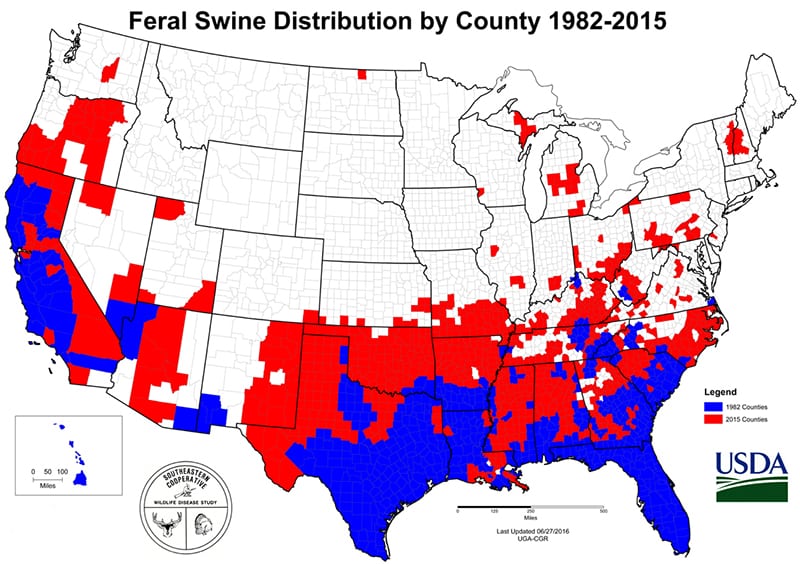 Feral hog distribution by county 1982-2015