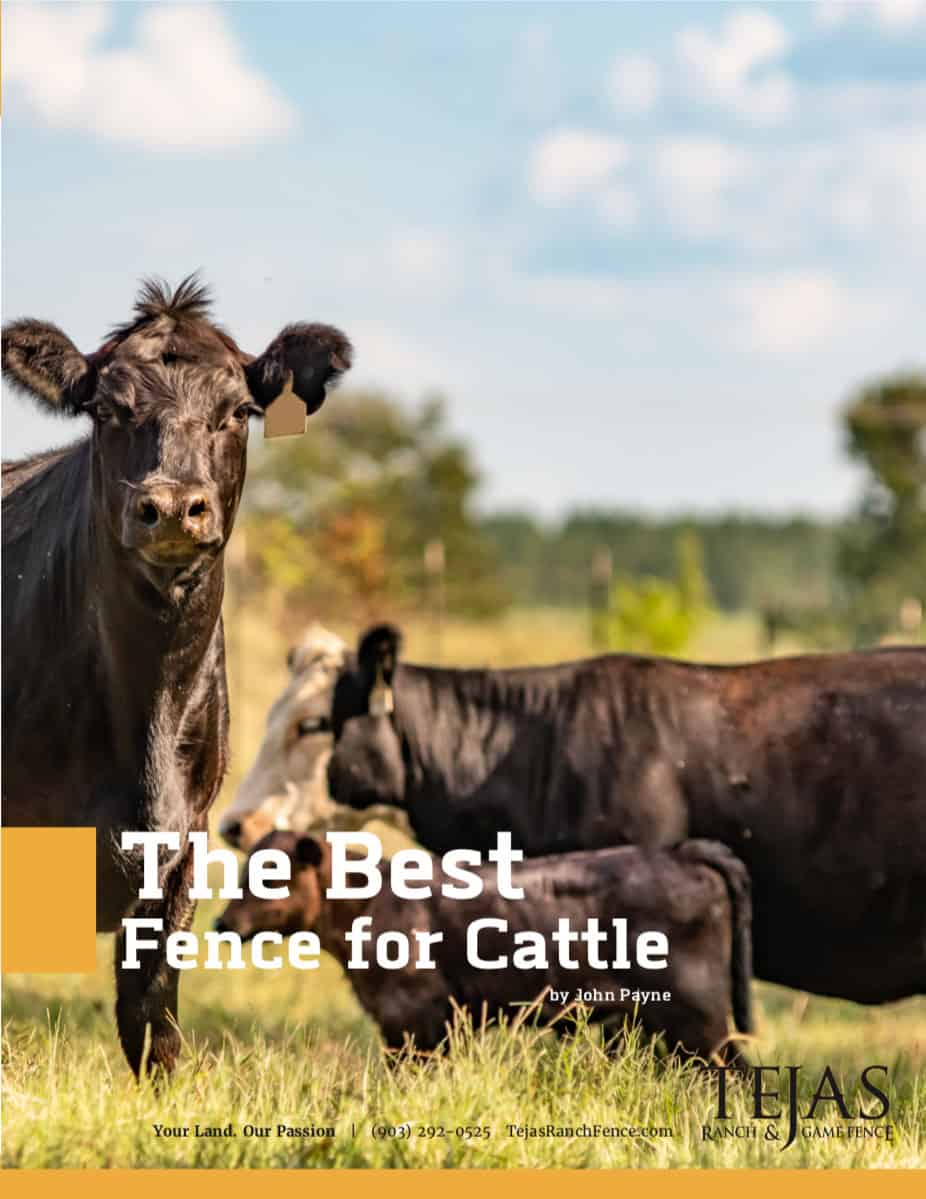 Best Fence For Cattle PDF Guide