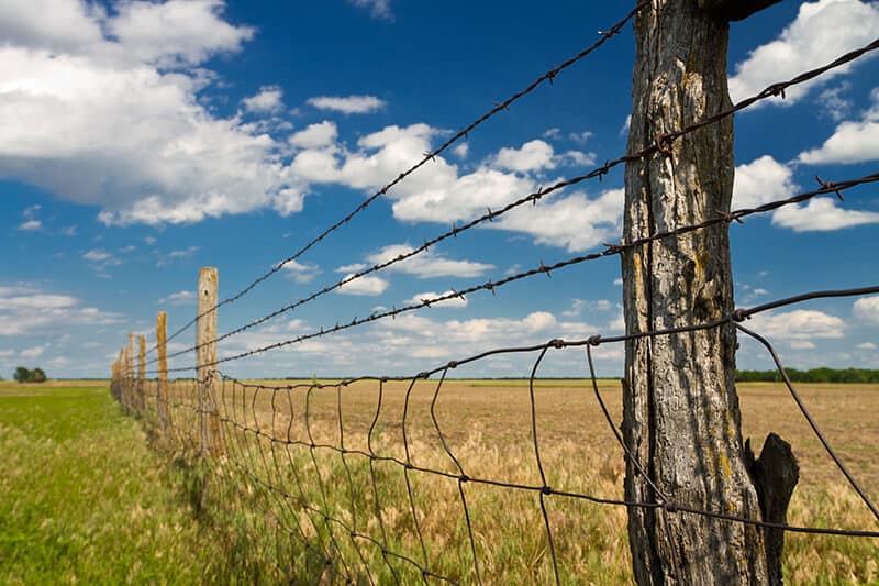 Deterring Bears with Electrified Fences: A Beginners Guide - Texas