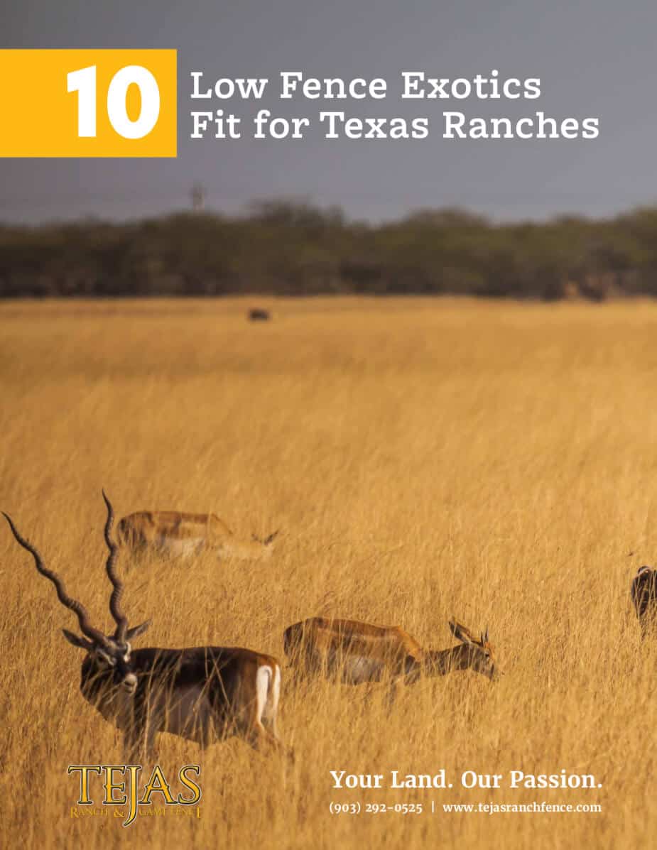 Low Fence Exotics Fit for Texas Ranches PDF Guide
