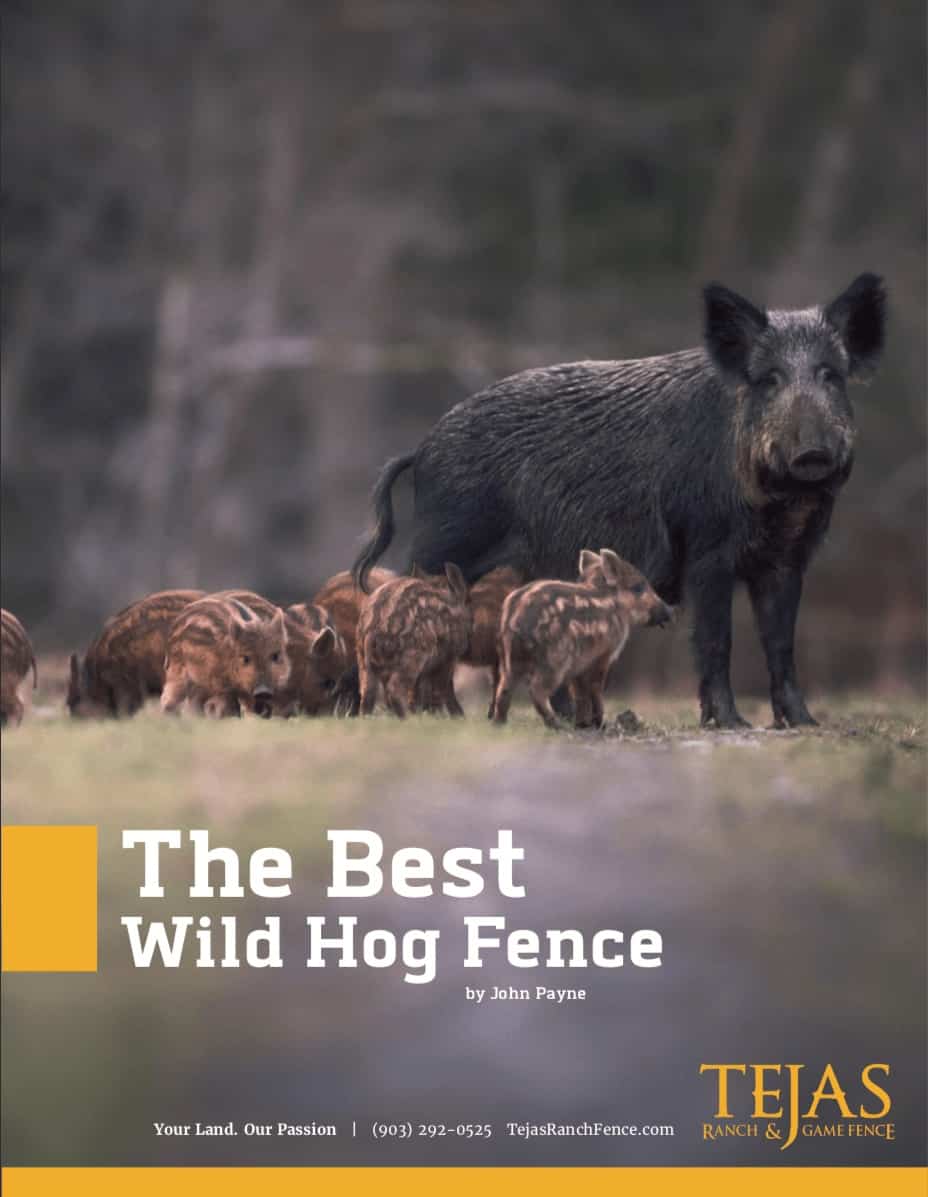 The Best Wild Hog Fence PDF Guide