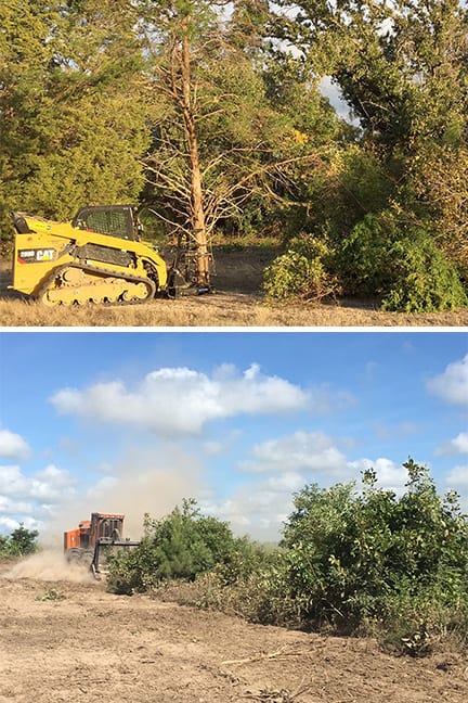 Land Clearing Contractor