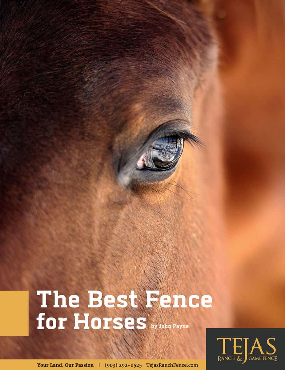 Best Fence For Horses PDF Guide