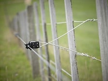 Offset Electric Fences