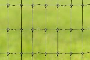 FIXED-KNOT GAME FENCING